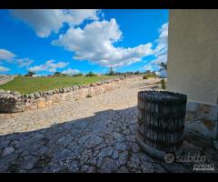 MARTINA FRANCA- Trulli con lamia e deposito - 24