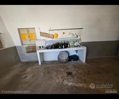 MARTINA FRANCA- Trulli con lamia e deposito - 25