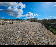MARTINA FRANCA- Trulli con lamia e deposito - 29