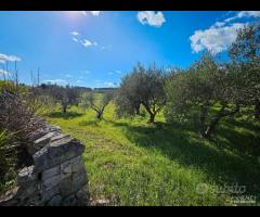 MARTINA FRANCA- Trulli con lamia e deposito - 30