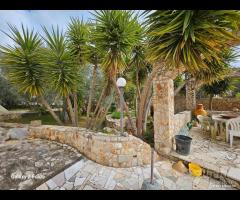 GROTTAGLIE - Villa rustica in pietra - 8