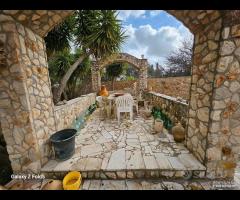 GROTTAGLIE - Villa rustica in pietra - 10