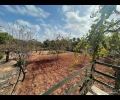 Villa con garage e trulletto