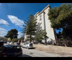 Castelvetrano app. panoramico piano 5