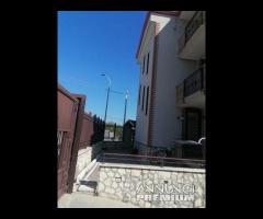 Villa  con 2 appartamenti Carinaro - 13