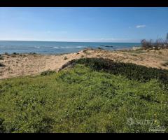 Triscina struttura per b&b o casa vacanza - 14