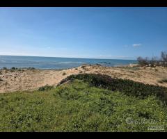 Triscina struttura per b&b o casa vacanza - 15