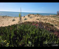 Triscina struttura per b&b o casa vacanza - 16