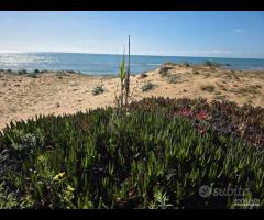 Triscina struttura per b&b o casa vacanza - 18