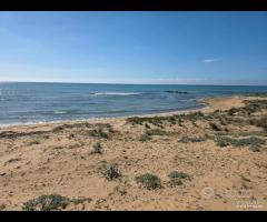 Triscina struttura per b&b o casa vacanza - 19