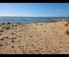 Triscina struttura per b&b o casa vacanza - 20