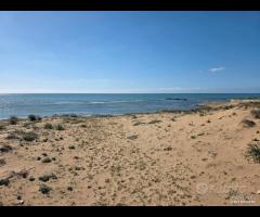 Triscina struttura per b&b o casa vacanza - 21