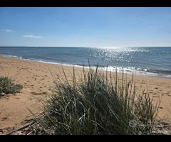 Triscina struttura per b&b o casa vacanza - 22