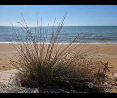 Triscina struttura per b&b o casa vacanza - 25