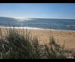 Triscina struttura per b&b o casa vacanza - 27