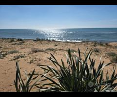 Triscina struttura per b&b o casa vacanza - 28