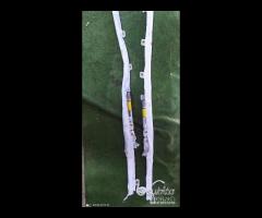 Ricambi kit airbag plancia cintura fiat 500l - 4