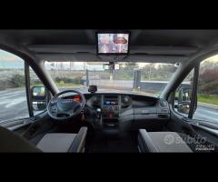 Iveco Daily - Trasporto Cavalli