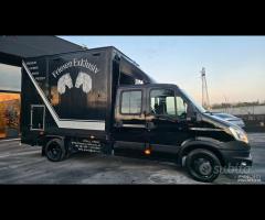 Iveco Daily - Trasporto Cavalli - 14
