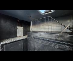 Iveco Daily - Trasporto Cavalli - 19