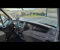 Iveco Daily - Trasporto Cavalli - 25