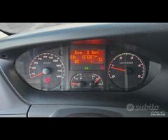 Iveco Daily - Trasporto Cavalli - 27