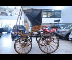 Carrozza cavalli singolo/pariglia Dottorina NUOVA