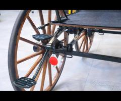 Carrozza cavalli singolo/pariglia Dottorina NUOVA - 8