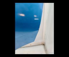 PORTA PORTIERA POSTERIORE SX VW TIGUAN II AD1 AX1 - 17