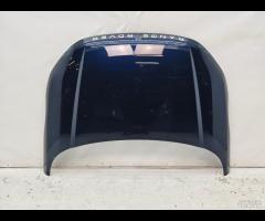 COFANO ANTERIORE RANGE ROVER EVOQUE I L538 2015-20