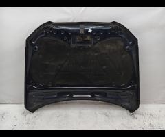 COFANO ANTERIORE BMW 520D 5 F10 2009-2016 41617207 - 19