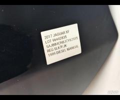 PORTA PORTIERA POSTERIORE SX JAGUAR XF X260 15-202 - 10