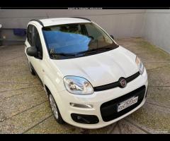 Fiat Panda 1.2 GARANZIA 12 MESI E TAGLIANDO - UNIP