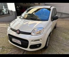 Fiat Panda 1.2 GARANZIA 12 MESI E TAGLIANDO - UNIP