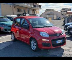 Fiat Panda 1.0 firefly hybrid Uff. FIAT ITALIA - 7