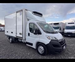 Opel movano cella frigo 3.90 Mt 2022 Euro 6