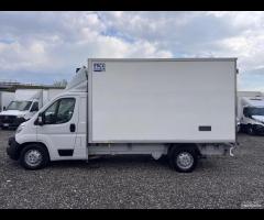 Opel movano cella frigo 3.90 Mt 2022 Euro 6