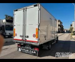Iveco daily 65C15 Cella 4.20mt Trasp.Carne 2012 E5 - 6