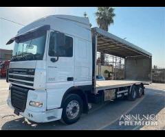 Daf 105.510 motrice trasporto animali 2009 E5