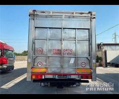 Daf 105.510 motrice trasporto animali 2009 E5