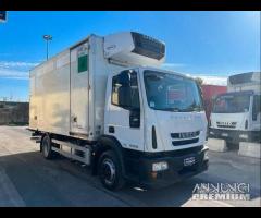 Iveco eurocargo 120E22 frigo 5.20 e sponda 2010