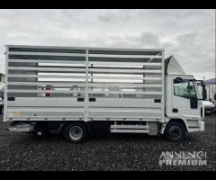 Iveco eurocargo 120EL22 Centina 5.50mt e sponda E5 - 13