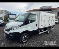 Iveco daily 35C15 Cella surgelati 8 Sportelli 2018