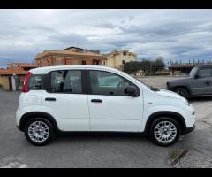 Fiat Panda 1.0 FireFly Hybrid City Life - 5
