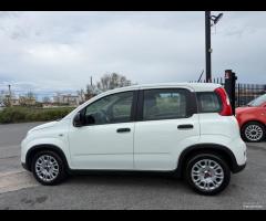 Fiat Panda 1.0 FireFly Hybrid City Life - 6