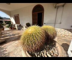 Talsano- villa con giardino e garage - 12