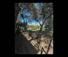 Villetta singola su due livelli a Mascali - 9