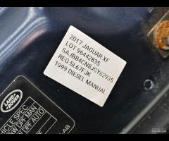 COFANO ANTERIORE JAGUAR XF X260 2017 T2H4135 GX631 - 8