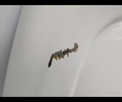 PORTA PORTIERA POSTERIORE SX BATTENTE OPEL COMBO C - 16