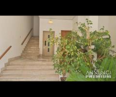 Castelvetrano app. angolo via tagliata piano 2 - 7